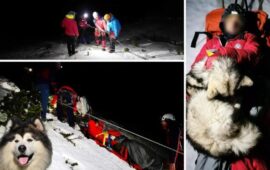 Куче спаси мъж в планината