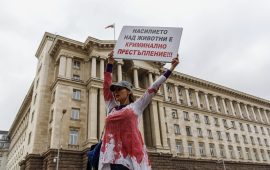 Забраниха норките в България, били агресивни