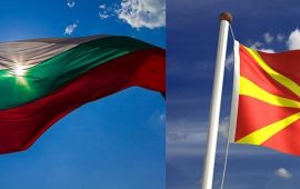 Колко македонци са взели българско гражданство