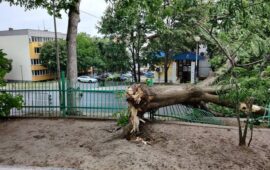 Погром след бурята във Видин и Козлодуй (ВИДЕО И СНИМКИ)