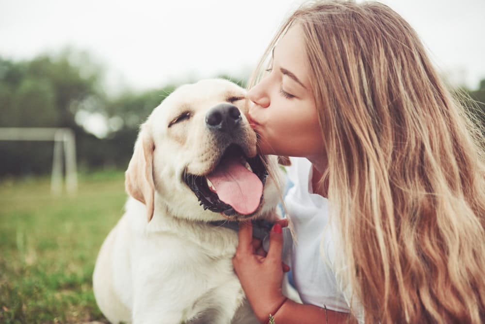 Учени разкриват, защо кучета са дружеблюбни