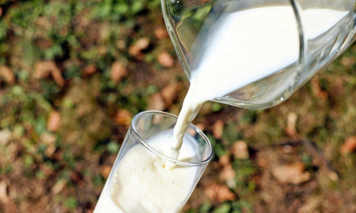 Пием най-скъпото мляко в цяла Европа