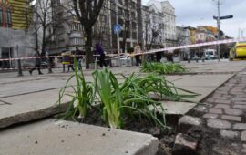 Засадиха лук в централните дупки на София