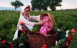 ЕК иска да ликвидира българската роза